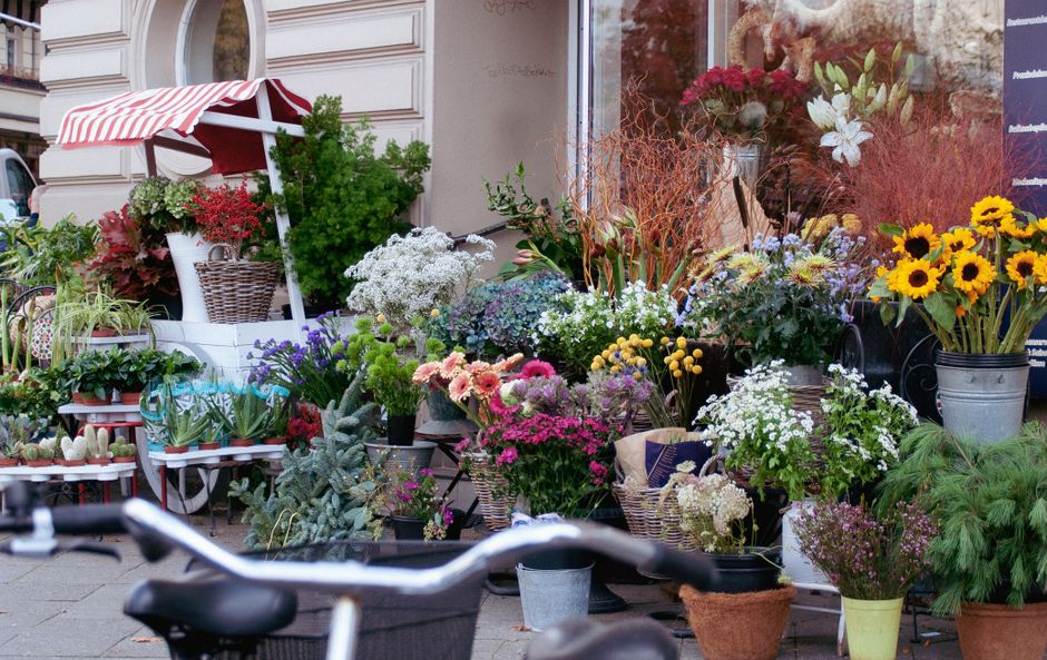 Vibrant assortment of flowers and plants displayed outside a shop with striped awning.
